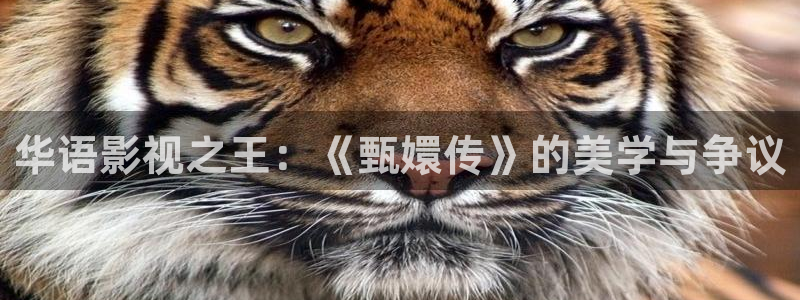 红桃视频在线电影：华语影视之王：《甄嬛传》的美学与争议