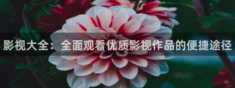 电影红桃：影视大全：全面观看优质影视作品的便捷途径