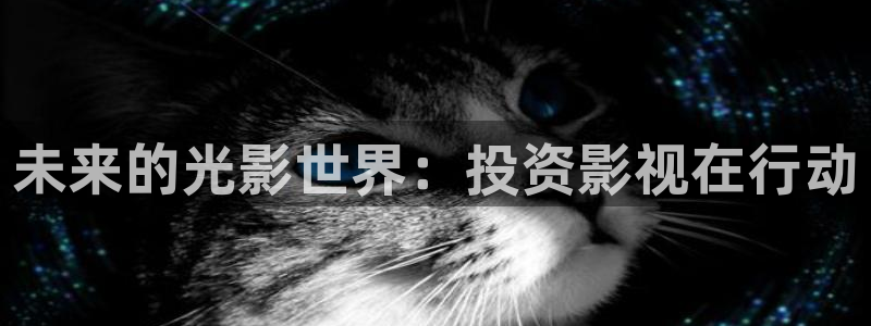红桃影院在线观看免费播放：未来的光影世界：投资影视在行动