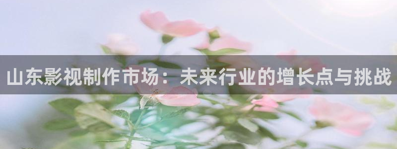 红桃电影院地址：山东影视制作市场：未来行业的增长点与挑战