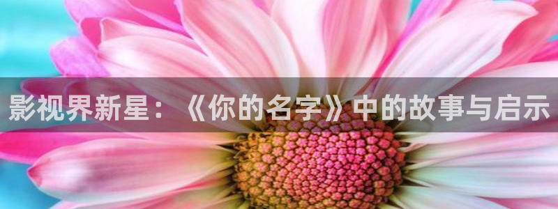 红桃私人影院：影视界新星：《你的名字》中的故事与启示